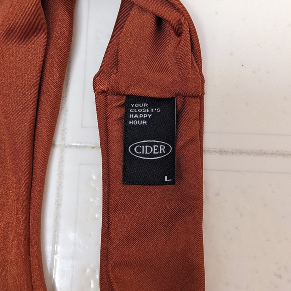 Cider brown bathing suit - Picture 8 of 10